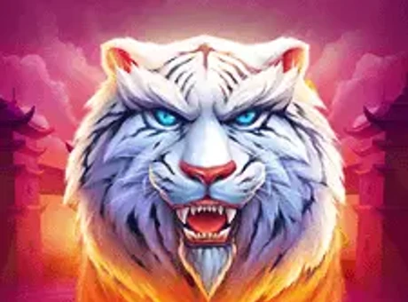 Luck Of Tiger Bonus Combo on officetools.kiev.ua Luck Of Tiger Bonus Combo — Favbet